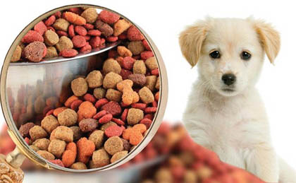 Pet Food